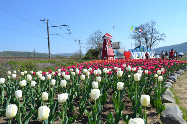 Неподалік Ужгорода з’явилася квіткова ло…