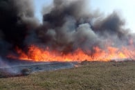 На Полтавщині "розгулялися" пожежі: Прот…