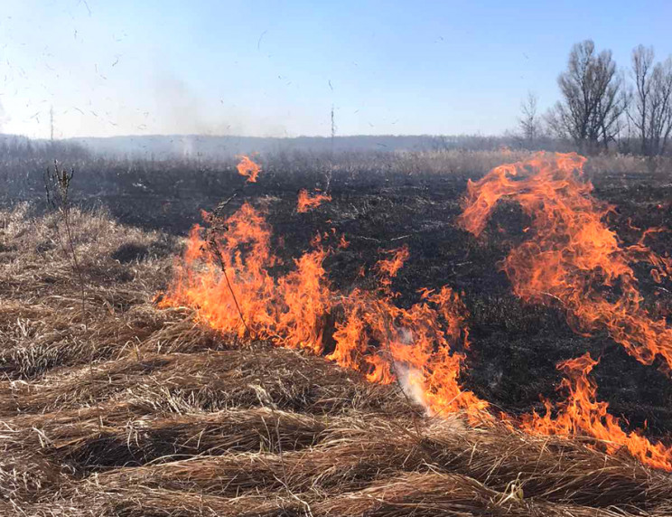 Полтавщина у вогні: Впродовж доби сталос…