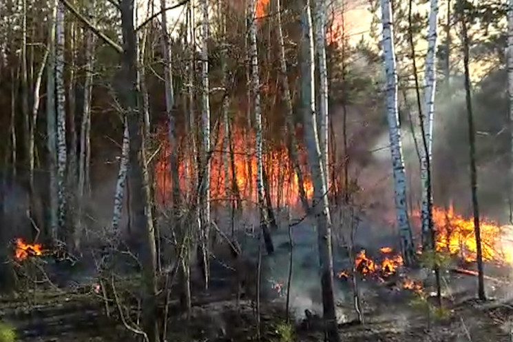 Через невідомого палія на Полонщині горі…