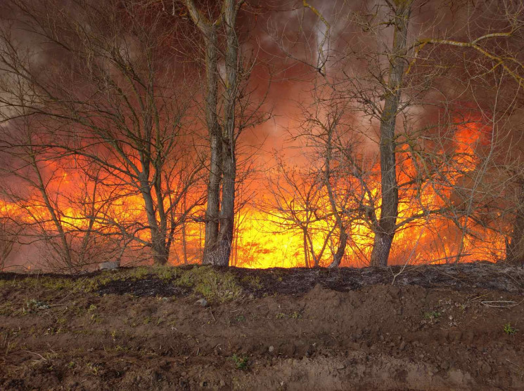 На Полтавщині палають ліси: Минулої доби…