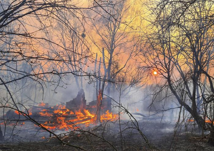 У Чорнобильській зоні досі палають ліси:…