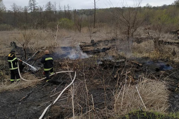 На Полтавщині від випалювання сухої трав…