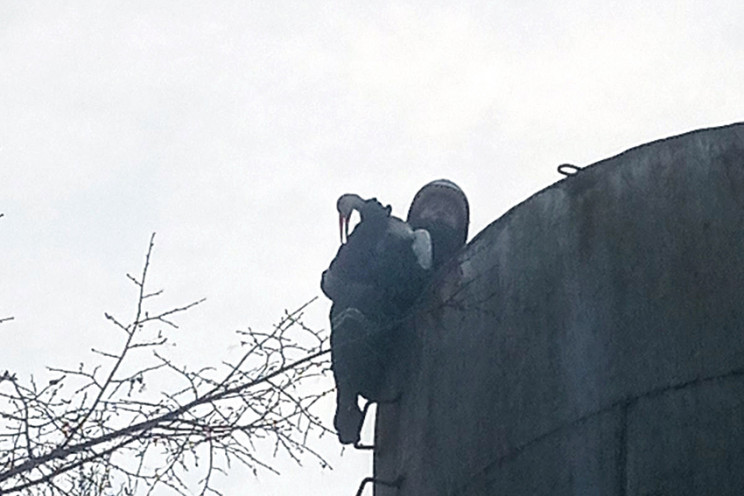 На Городоччині рятувальники розгорнули с…