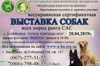 Запоріжців запрошують на виставку собак…