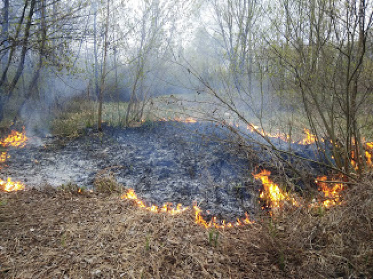 На Полтавщині тривають масштабні пожежі…