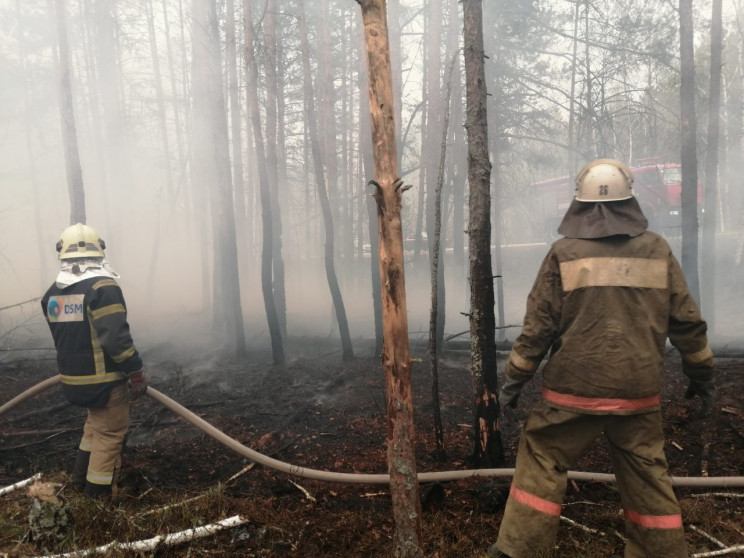 Рятувальники у Зоні відчуження продовжую…