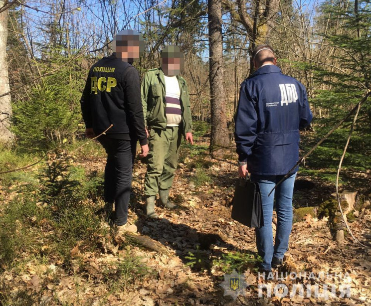 На Прикарпатті поліція затримала лісничо…