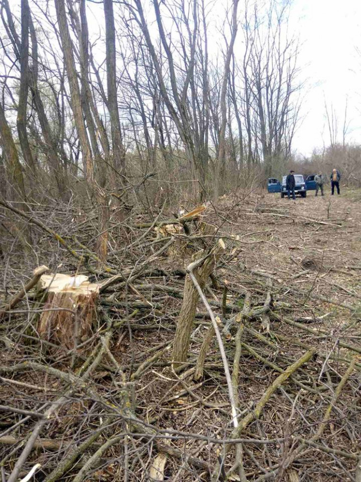У Теплицькому районі зафіксували незакон… У Теплицькому районі зафіксували незакон…