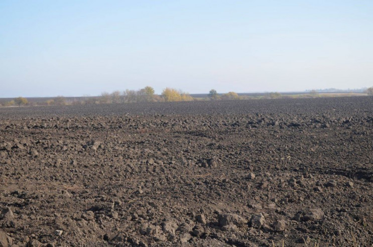 В агрофірми на Тернопільщині відібрали 5…