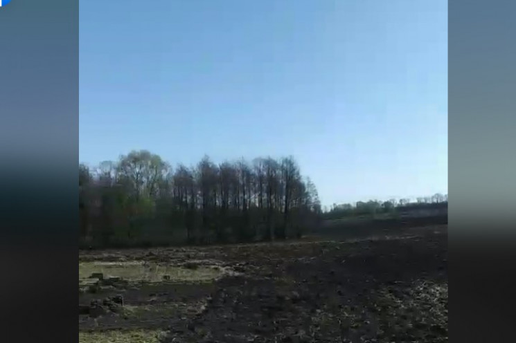 На Сумщині фермер вирубав ліс, аби зроби…