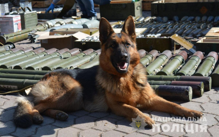 На Донеччині поліція 10 годин знешкоджув…