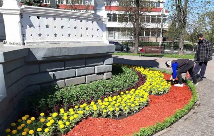 Чорнобривці, сальвії та перілли: Які кві…