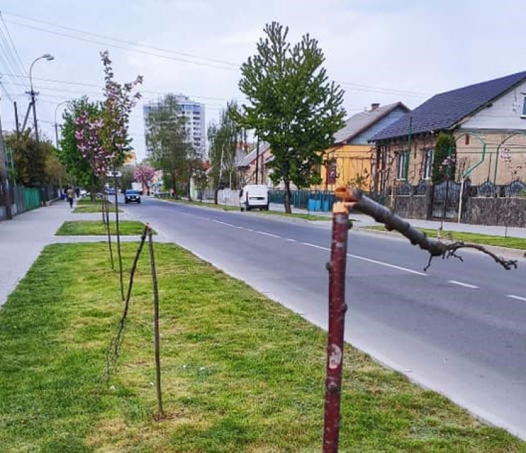 Поліція взялася розслідувати, хто понищи…