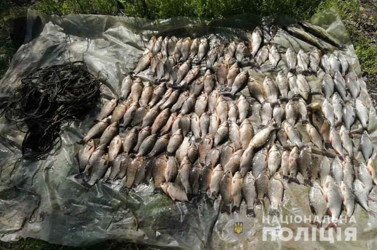 Под Запорожьем поймали браконьера с "сол…