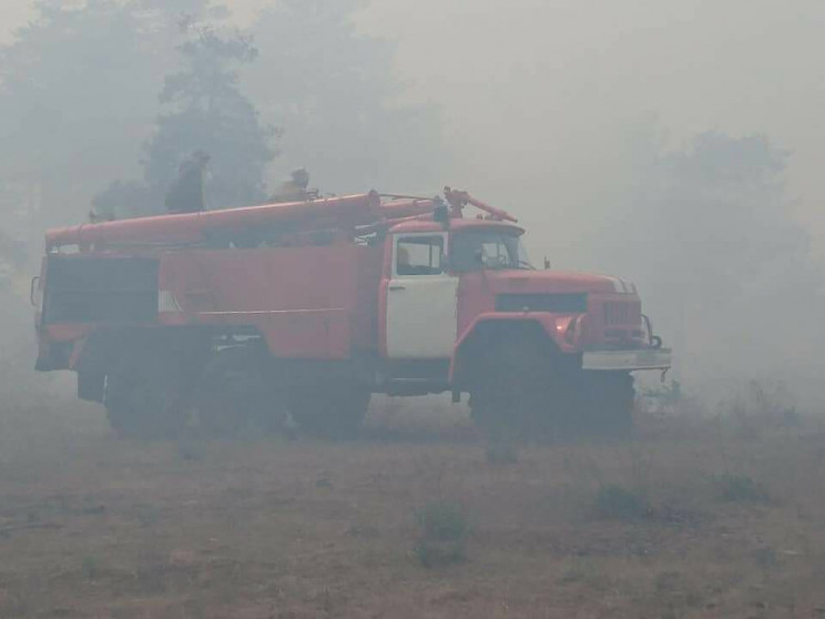 На Запоріжжі рятувальники, лісники й вол…