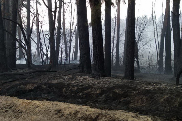 В Харківській області горить ліс…