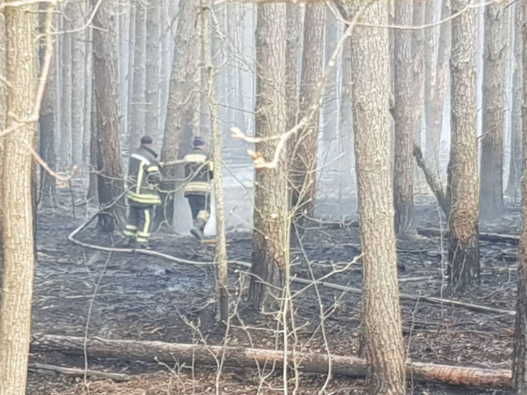 Пожежі в Чорнобилі: Загасили одне лісниц…