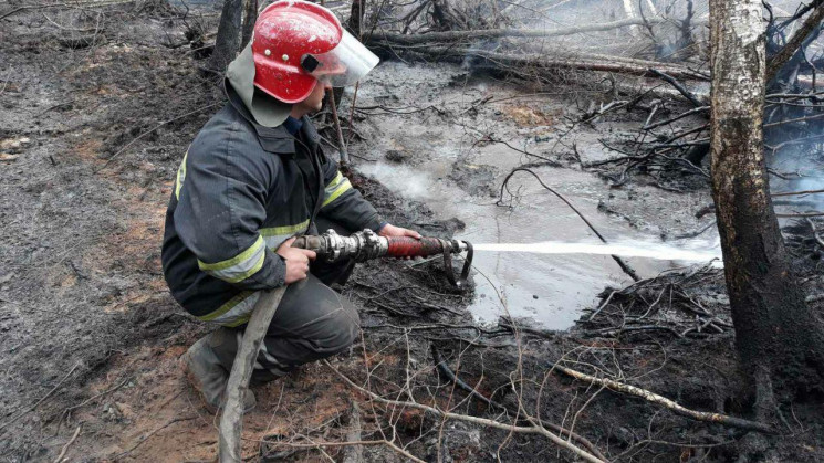 З початку року столичні рятувальники біл…