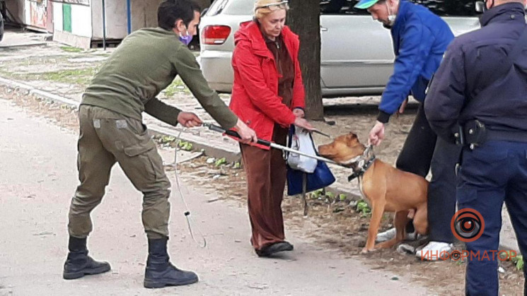 В Днепре пес бойцовской породы "порвал"…