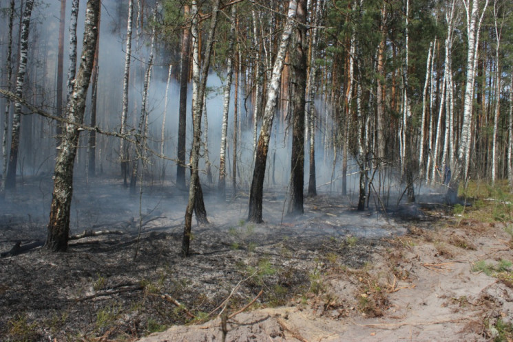 Усі пожежі в Чорнобилі локалізували: Кіл…