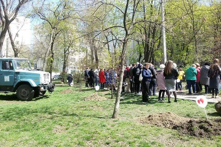 В Одессе высадили "Аллею жизни"…