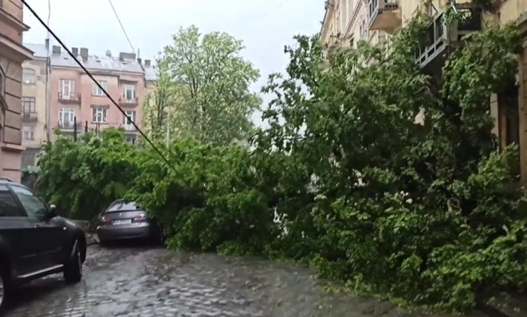 Затоплені вулиці й повалене дерево: Як у…