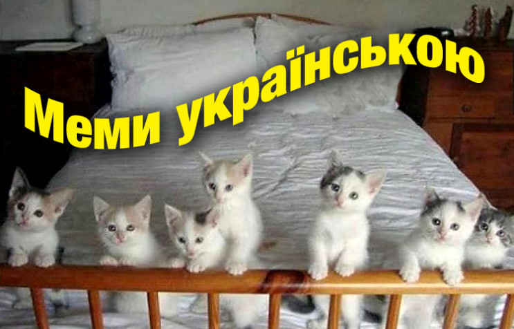 Мемы по-украински: О чем шутят в соцсетя…