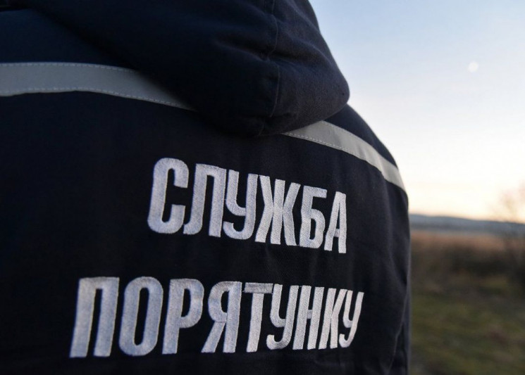 У Новояворівську собака впав у люк (ВІДЕ…