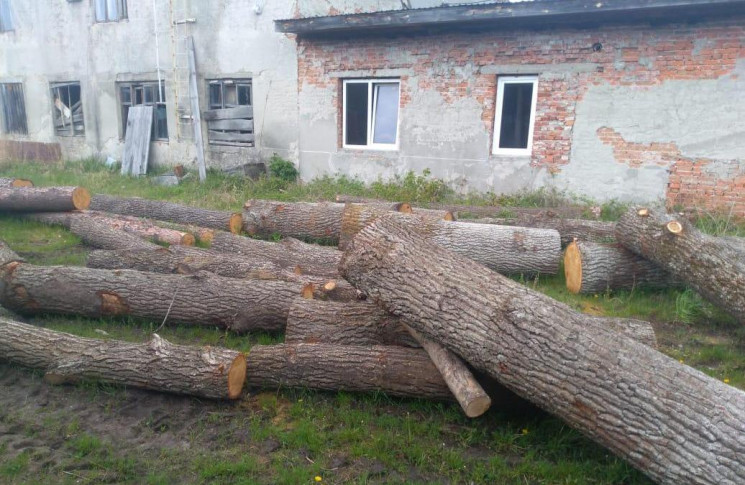 У Сокальському районі шукають власника ц…