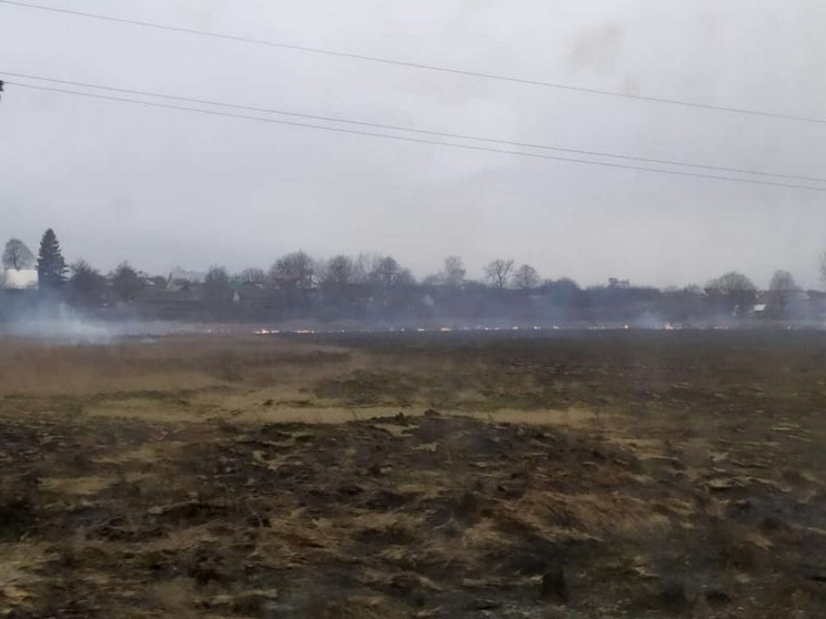 У Дрогобицькому і Сокальському районах г…