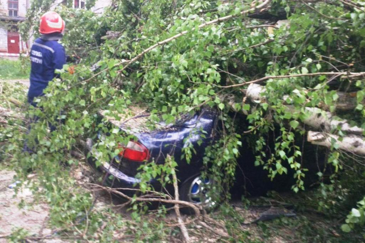 На Чернігівщині вирував буревій…