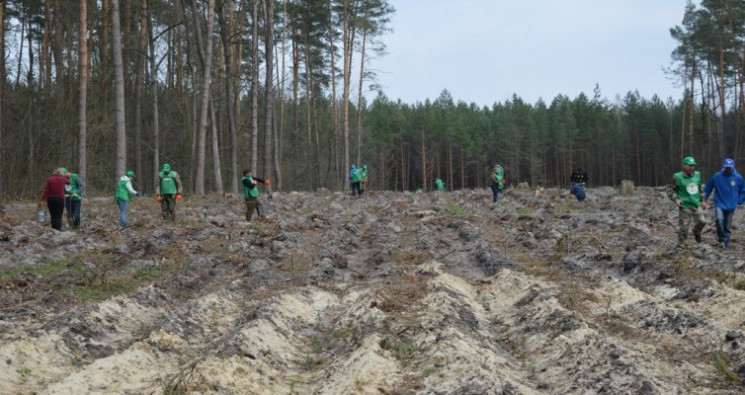 Лісівники Хмельниччини перевиконали річн…