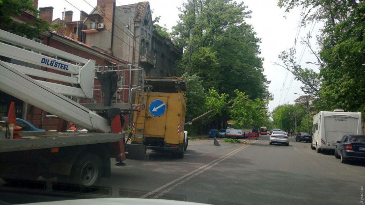 В Одесі на Успенській гілка дерева пошко…