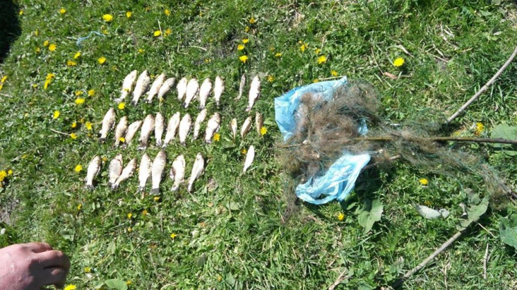 На Городоччині копам попалися браконьєри…