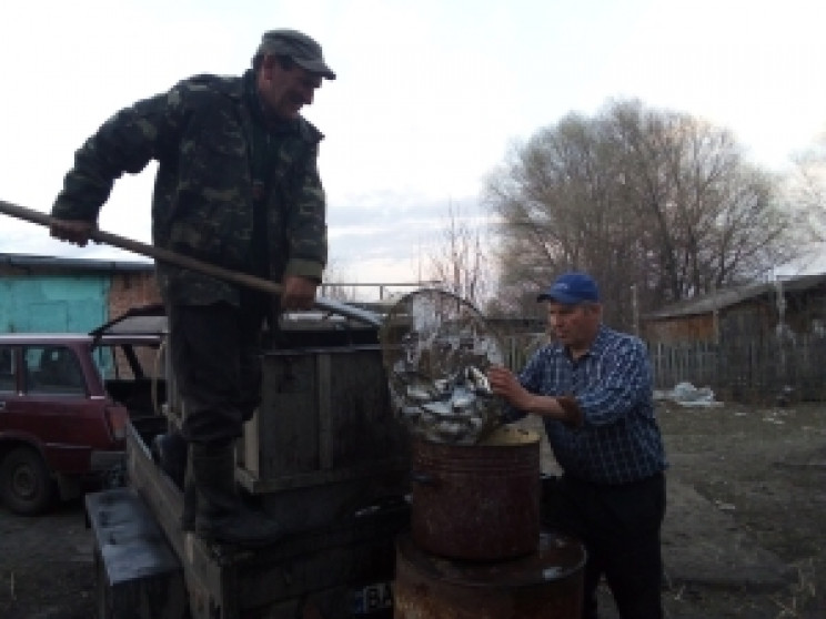 В водоемы на Харьковщине вселили толстол…