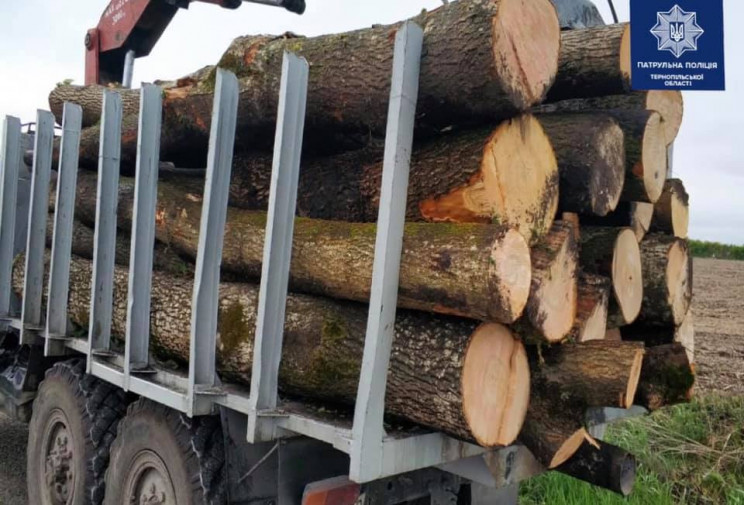Вантажівку з деревиною зупинили на Терно…