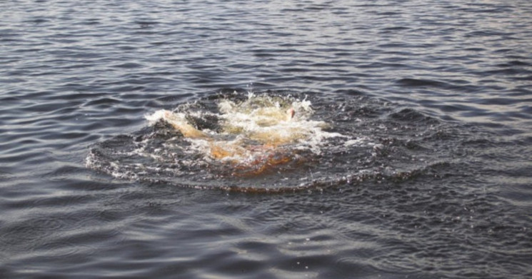 На Запорожье в водохранилище нашли тело…