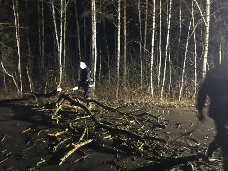 У Рівненській області дерево заблокувало…