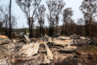 В Австралії внаслідок лісових пожеж заги…