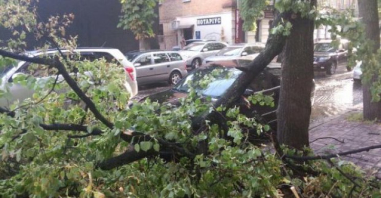 В Харькове из-за поваленного ураганом де…