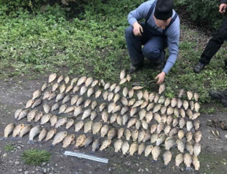 Майже 25 кг риби виловив сітками браконь…