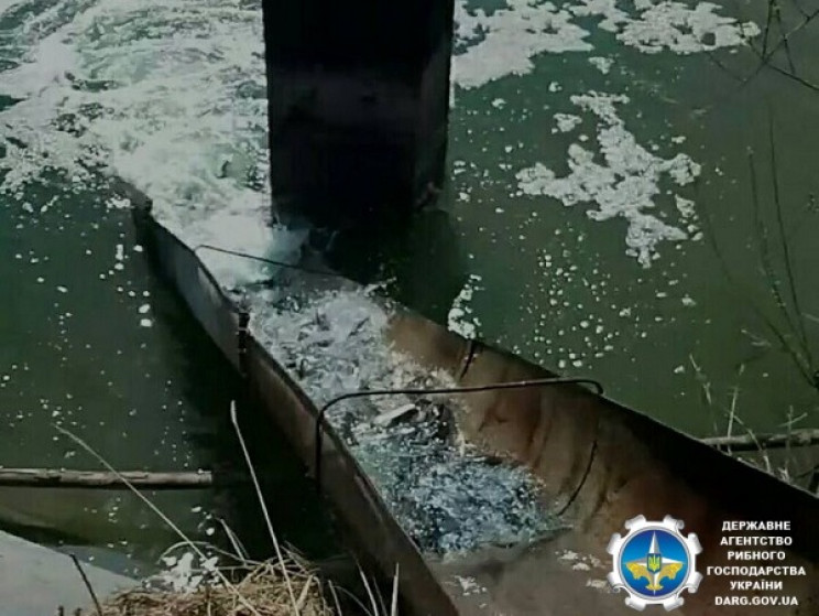 На Харківщині у водойми випустили понад…