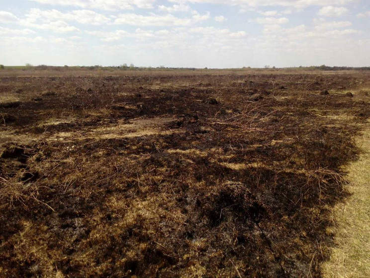 На Хмельниччині штрафами покарали паліїв…