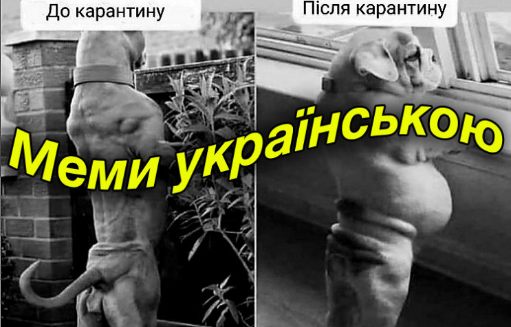 Меми українською: Як у мережі жартують п…