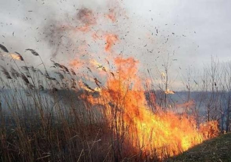 У Хмельницькому районі згорів гектар оче…