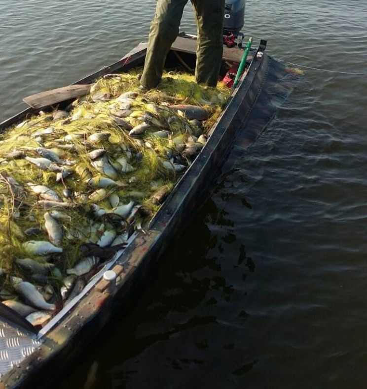 На Полтавщине из Сулинского залива рыбин…