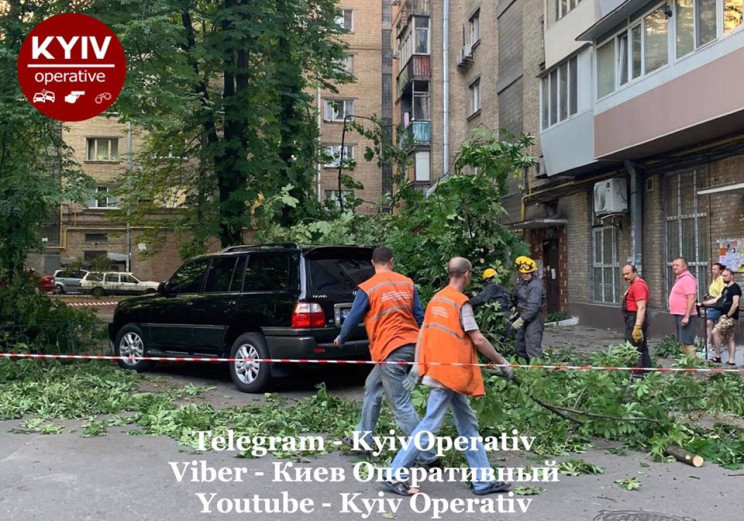 В центре Киева дерево раздавило сразу че…