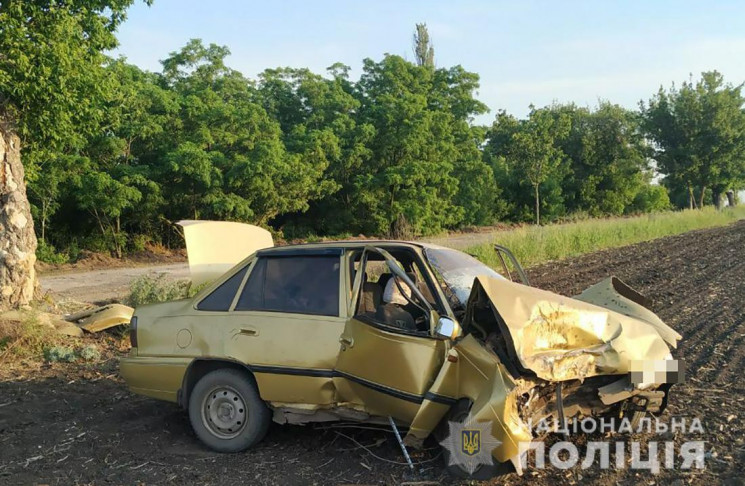 В Запорожской области пьяный водитель ус…