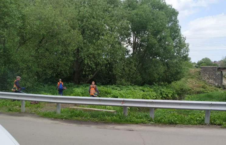 На боротьбу із отруйним борщівником у Хм…